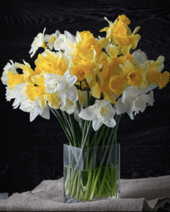 Square Glass Vase